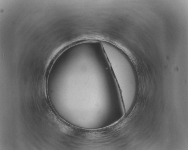 X0000074291272200609011358