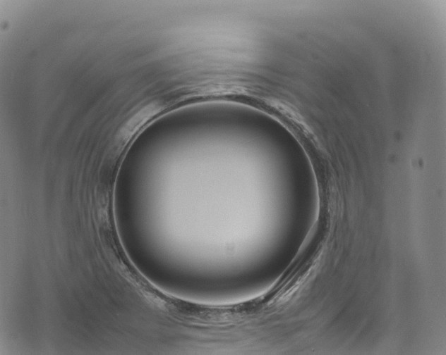 X0000074291273200609011358