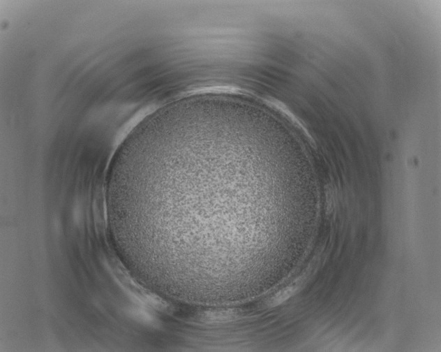 X0000074291274200609011358