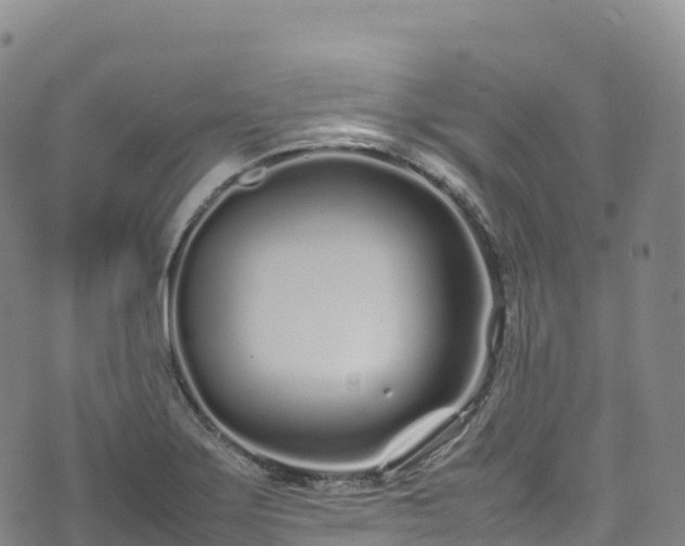 X0000074291275200609011358