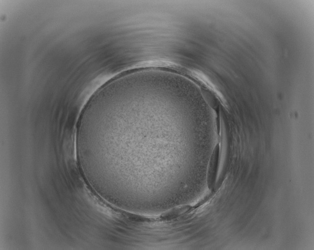 X0000074291276200609011358