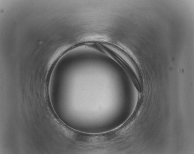 X0000074291277200609011358