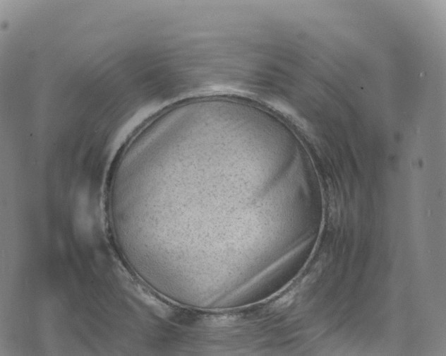 X0000074291278200609011358