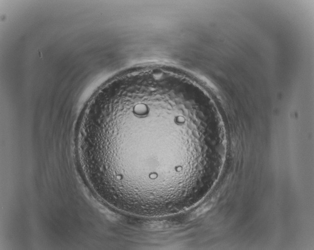 X0000074291279200609011358