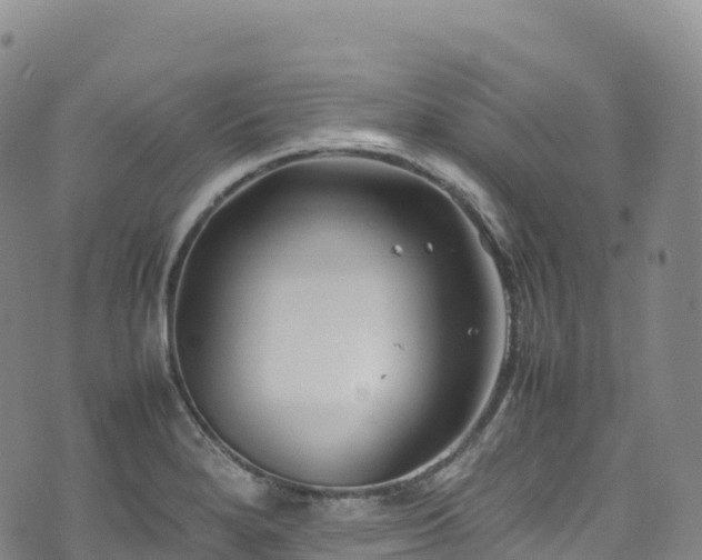 X0000074291280200609011358