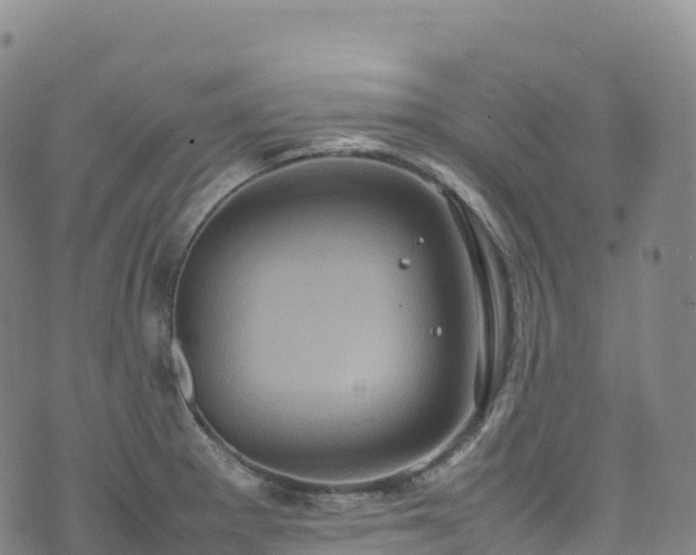 X0000074291281200609011358