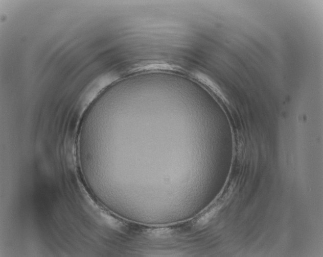 X0000074291282200609011358