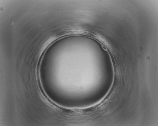 X0000074291283200609011358