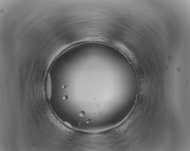 X0000074291284200609011358