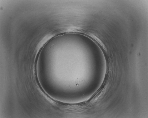 X0000074291285200609011358