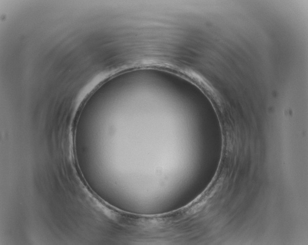 X0000074291286200609011358