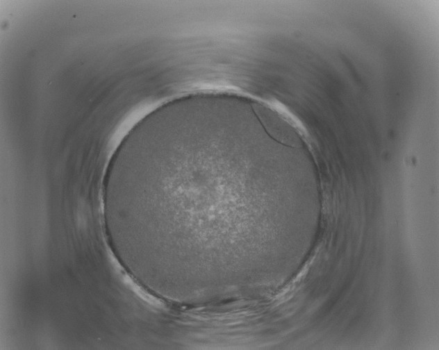 X0000074291287200609011358