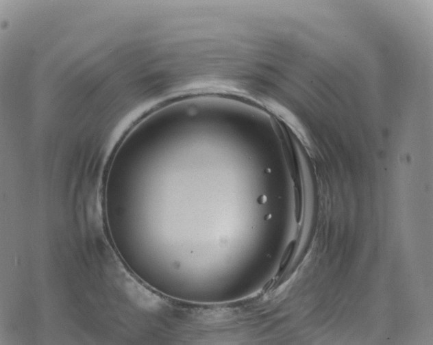 X0000074291288200609011358