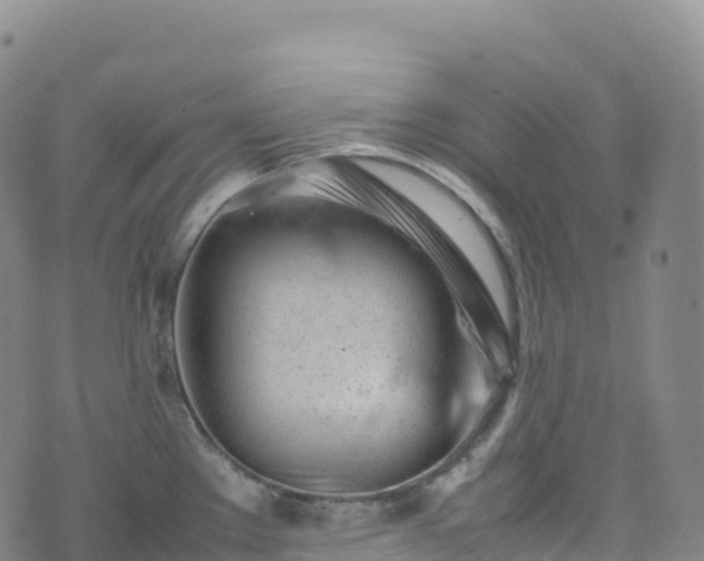 X0000074291289200609011357