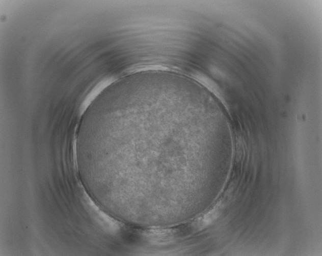 X0000074291290200609011357