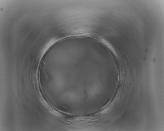 X0000074291291200609011357