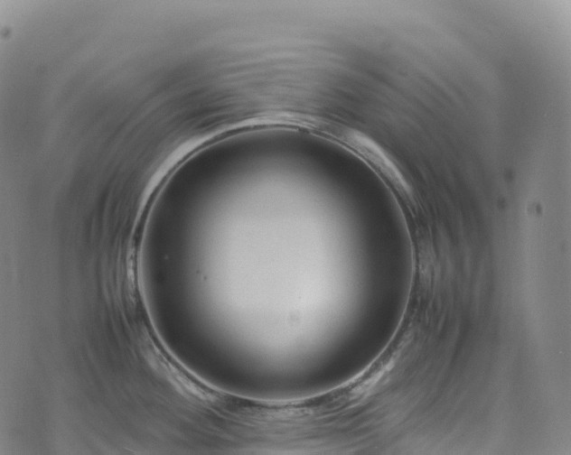 X0000074291292200609011357