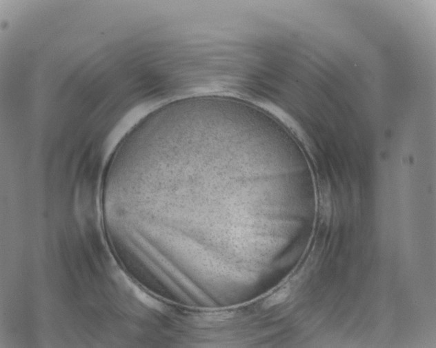 X0000074291294200609011357