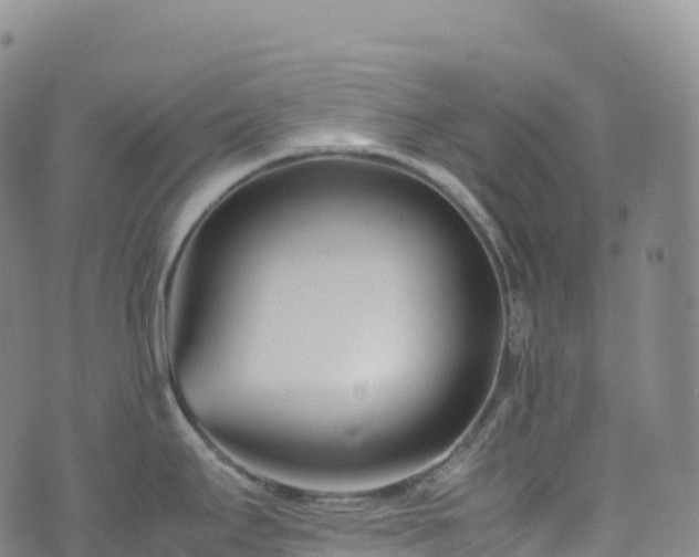 X0000074291295200609011357