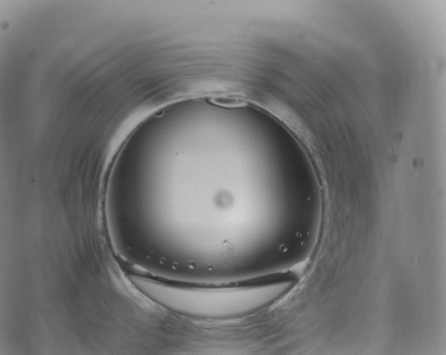 X0000074291296200609011357