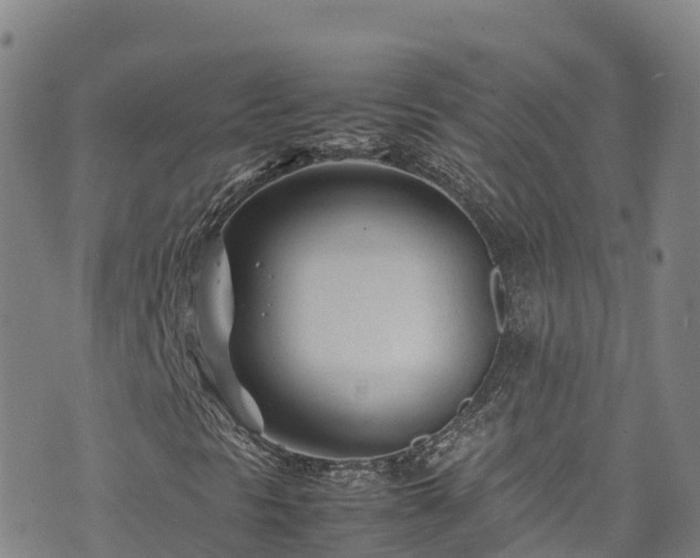 X0000074291297200609011357