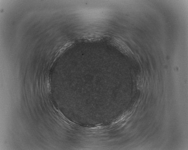 X0000074291298200609011357