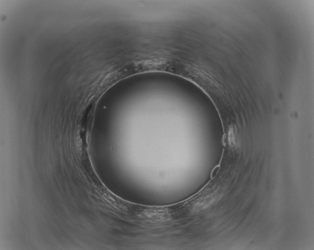 X0000074291299200609011357