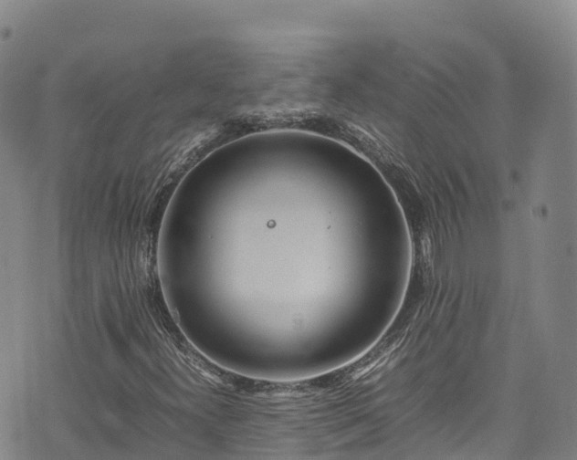 X0000074291300200609011357