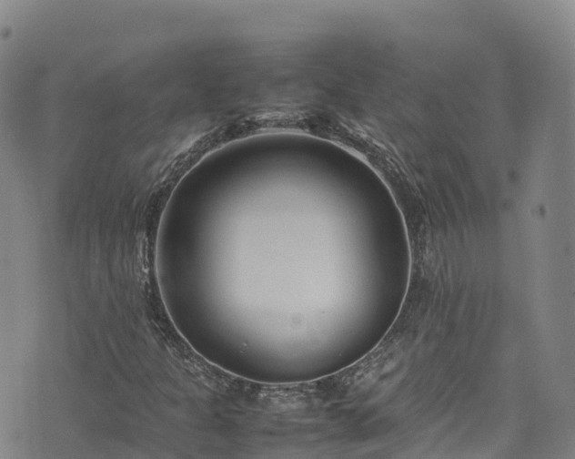 X0000074291301200609011357