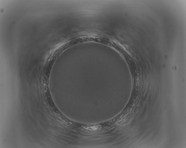 X0000074291303200609011357