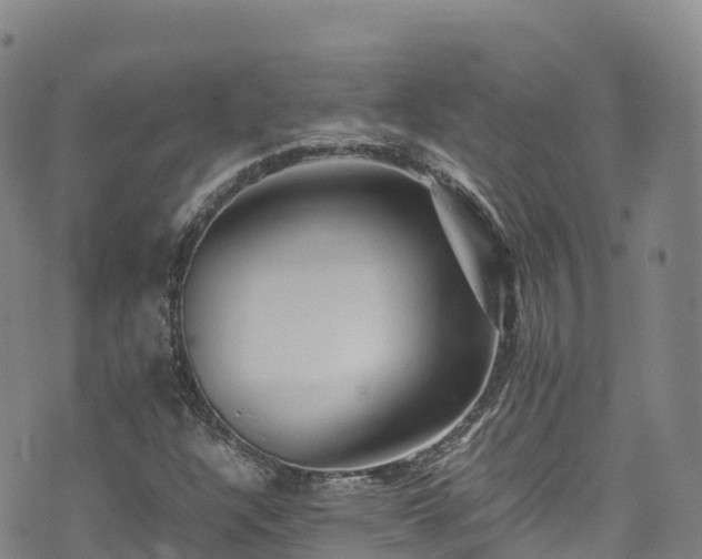 X0000074291304200609011357