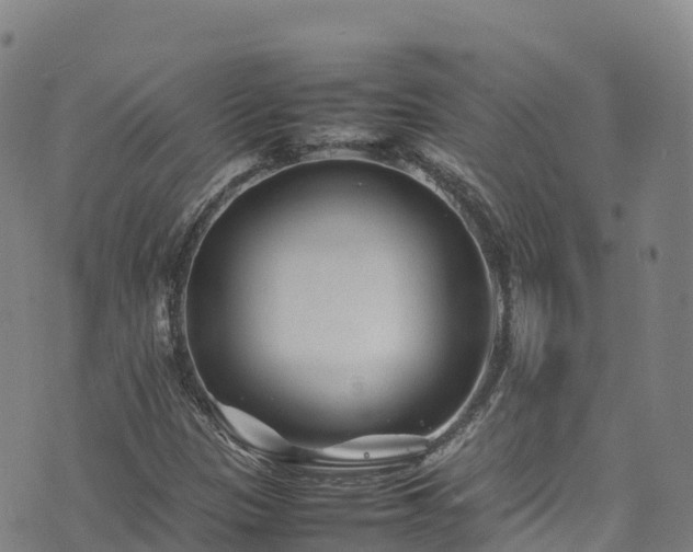 X0000074291305200609011357