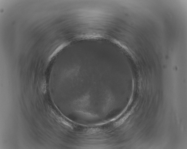 X0000074291306200609011357