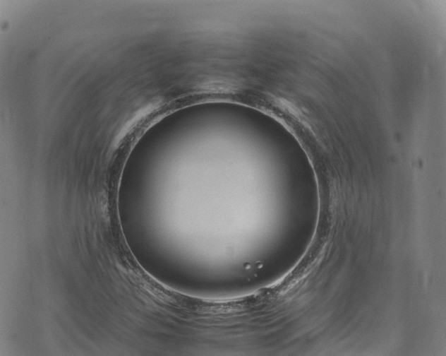 X0000074291307200609011357