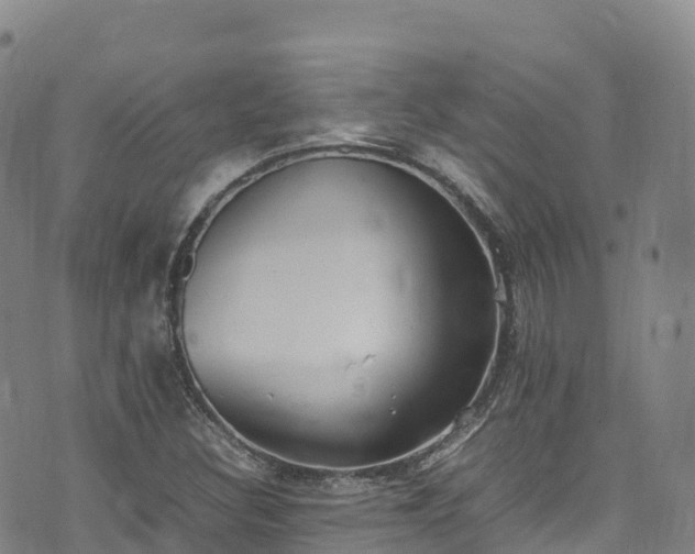 X0000074291308200609011357