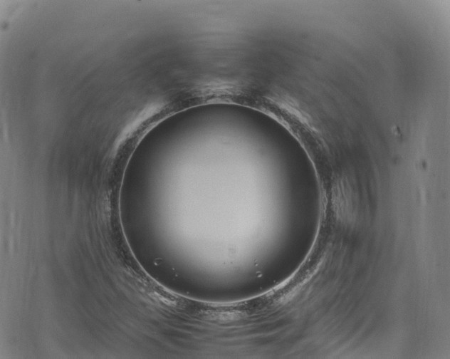 X0000074291309200609011357