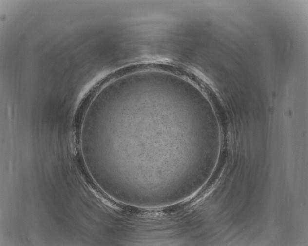 X0000074291310200609011357