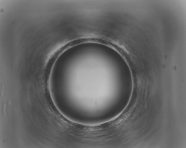 X0000074291311200609011357