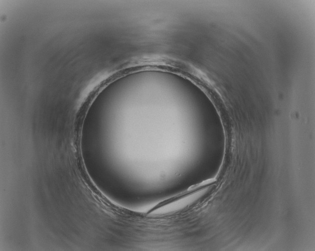 X0000074291312200609011357