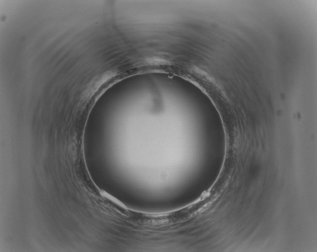 X0000074291313200609011357