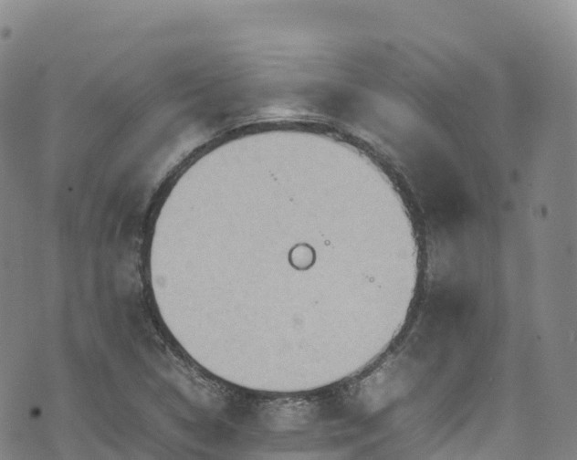 X0000074291314200609011357