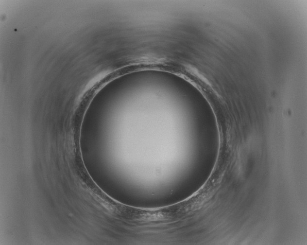 X0000074291315200609011357