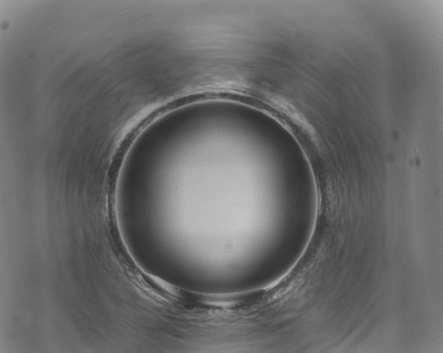 X0000074291316200609011357