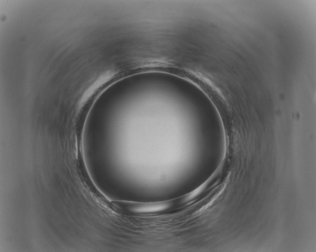 X0000074291317200609011357