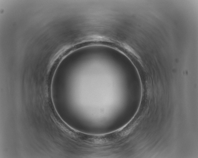 X0000074291318200609011357