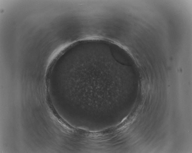 X0000074291319200609011357