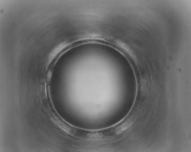 X0000074291320200609011357