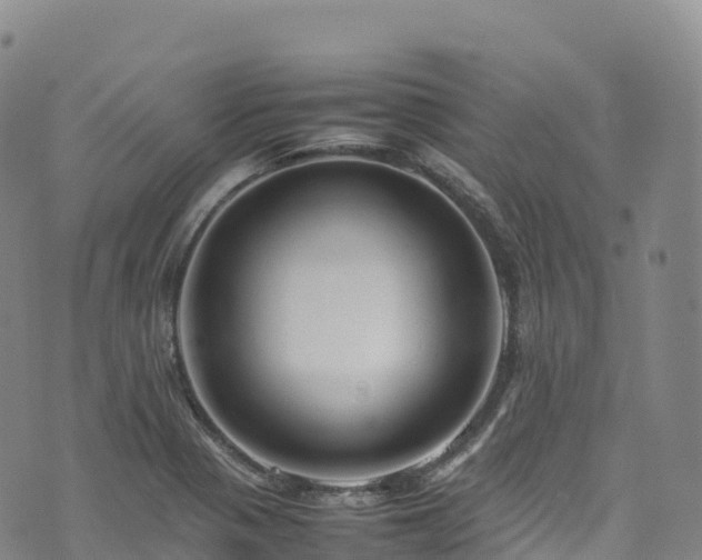 X0000074291321200609011357