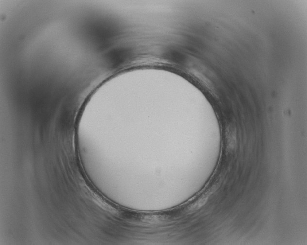 X0000074291322200609011357