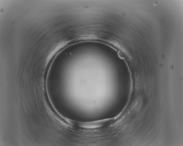 X0000074291325200609011357